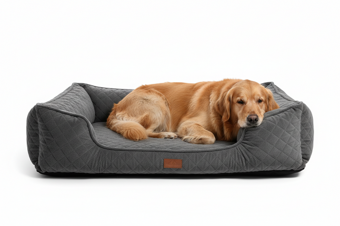 Best Orthopedic Dog Bed for Large Dogs: How to Choose the Perfect One - Pet Supplies