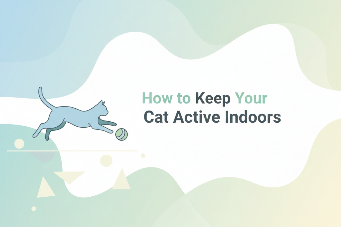 How to Keep Your Cat Active Indoors | Best Toys & Exercises for Healthy Cats