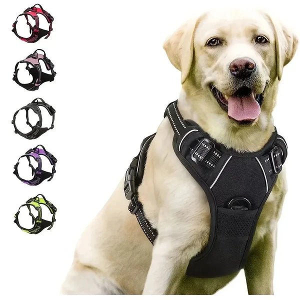 PawGear™ Complete Set – All-in-One Dog Essentials Kit - Pet Supplies