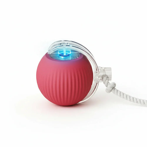 SpinPaw™ Smart Ball – Interactive Fun Toy for Dogs - Pet Supplies