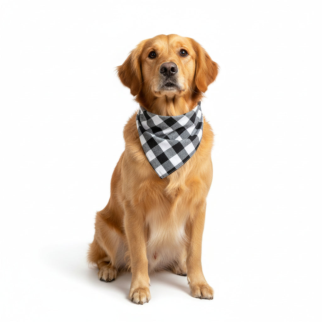 PlaidPaw™ Bandana Pets Supplies Shop