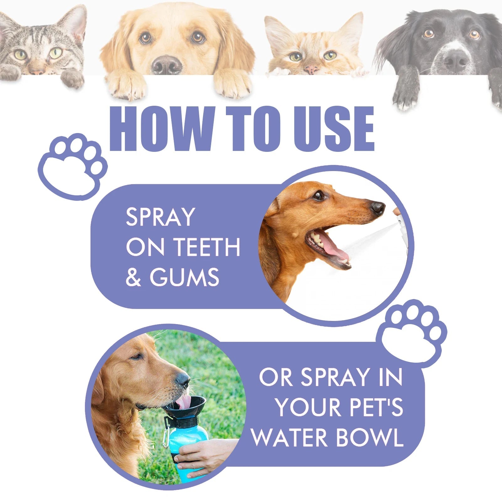 FreshPaw™ Dental Spray sifo-shop