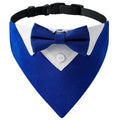 TuxPaw™ Bow Tie Collar sifo-shop