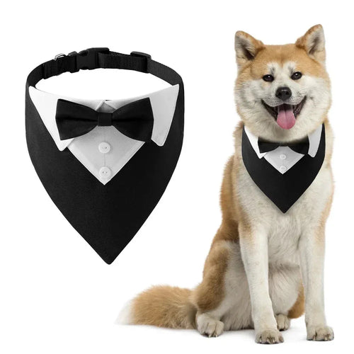 TuxPaw™ Bow Tie Collar – Stylish & Classy Dog Accessory - Pet Supplies