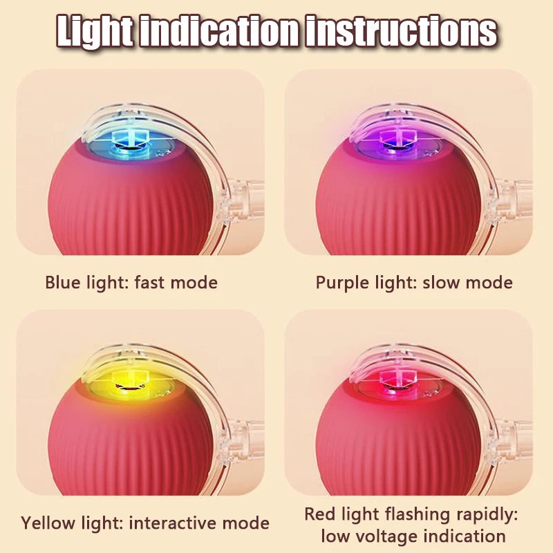 TailChase™ Smart Ball Pets Supplies Shop