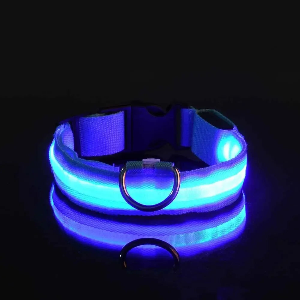 GlowPaw™ LED Leash & Collar sifo-shop