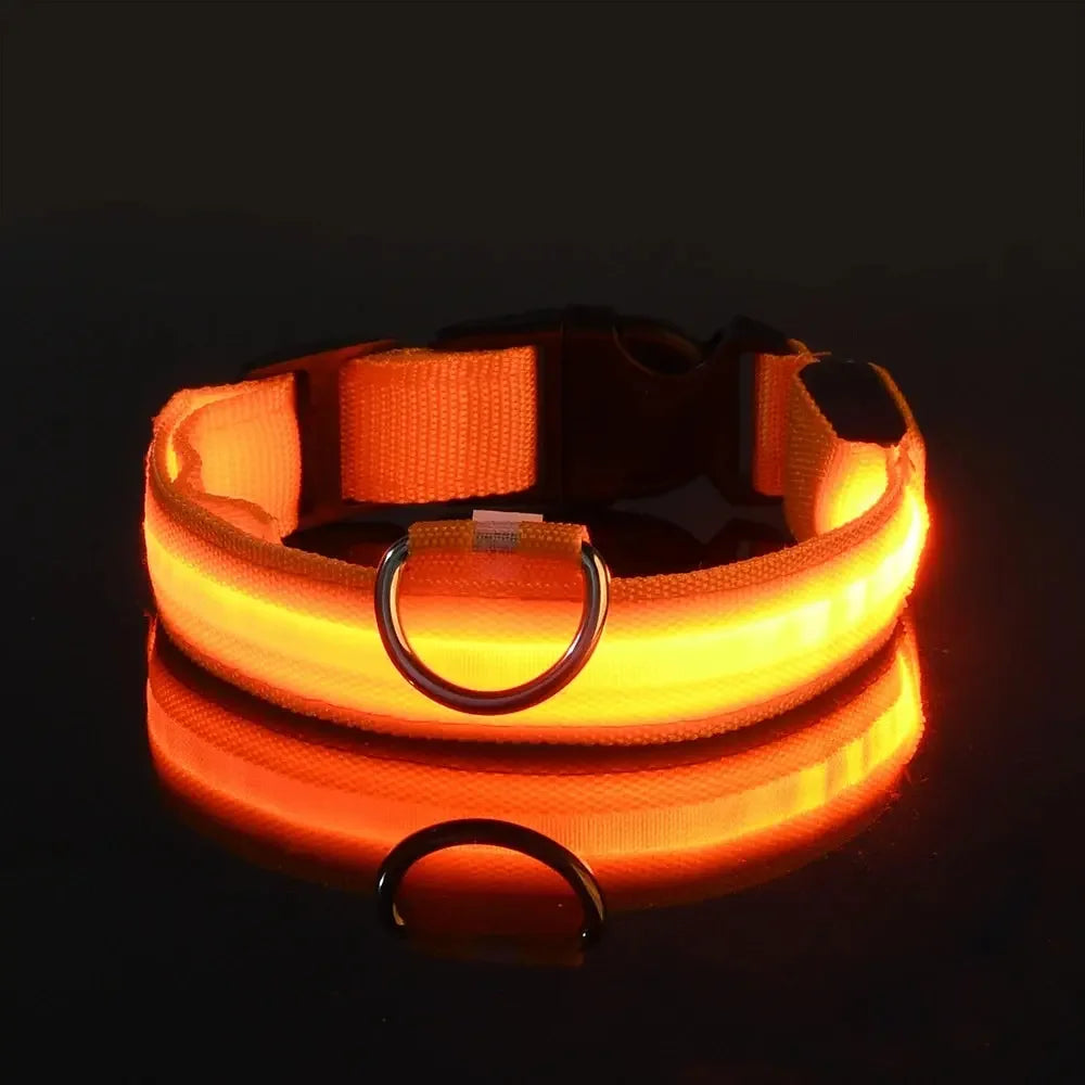 GlowPaw™ LED Leash & Collar sifo-shop