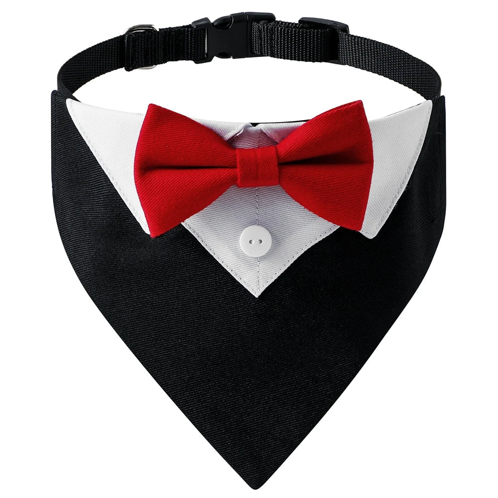 TuxPaw™ Bow Tie Collar sifo-shop