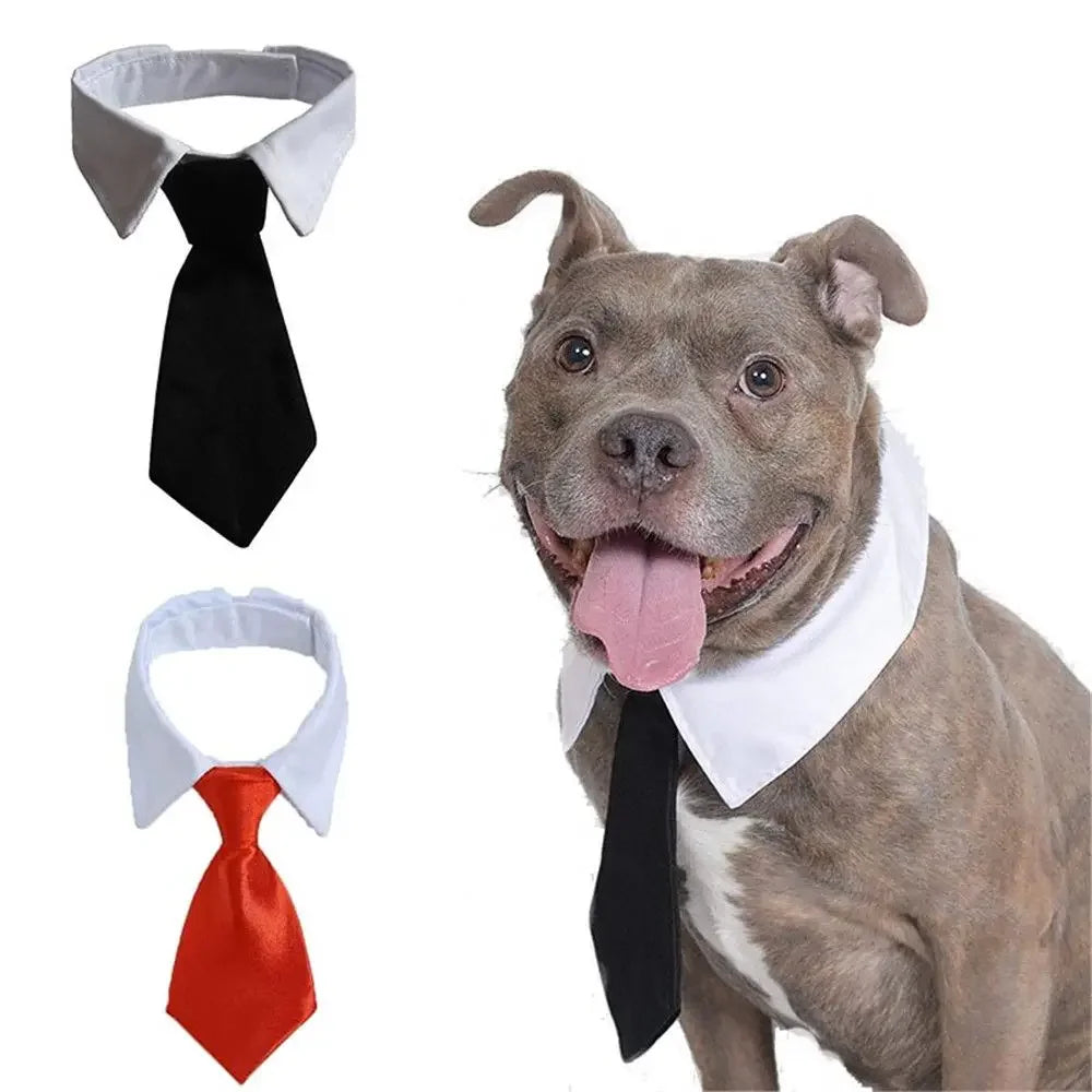 DapperPaw™ Necktie sifo-shop