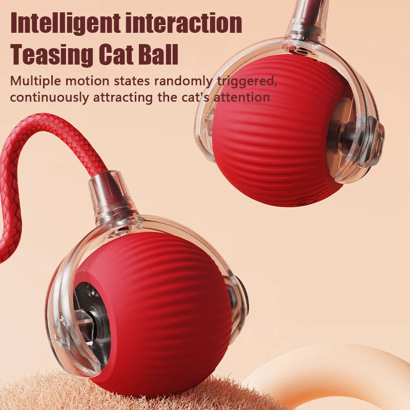 TailChase™ Smart Ball Pets Supplies Shop