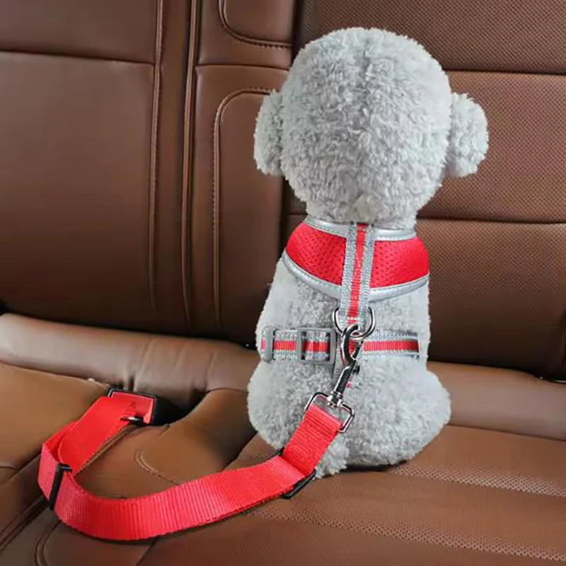 SafePaw™ Car Harness Pets Supplies Shop