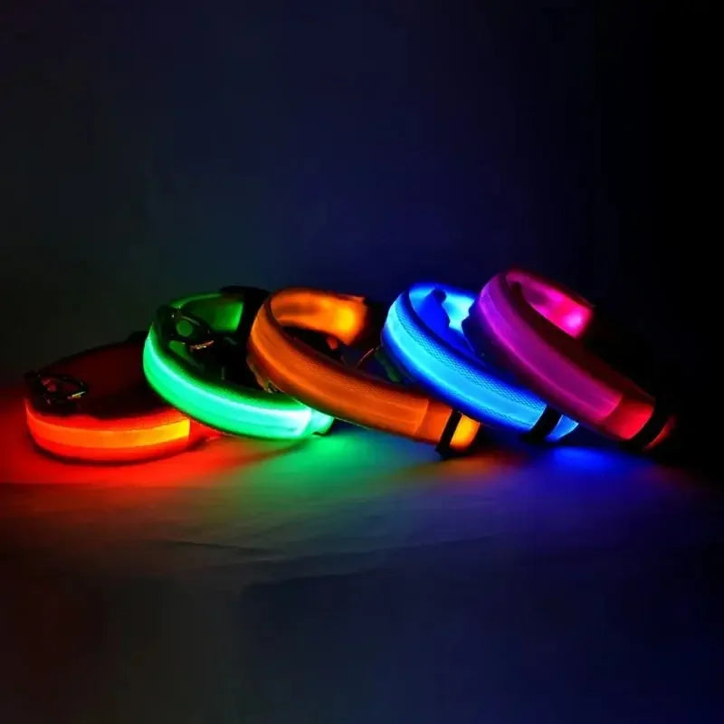 GlowPaw™ LED Leash & Collar sifo-shop