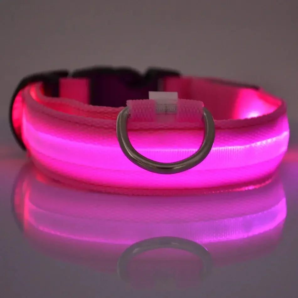 GlowPaw™ LED Leash & Collar sifo-shop
