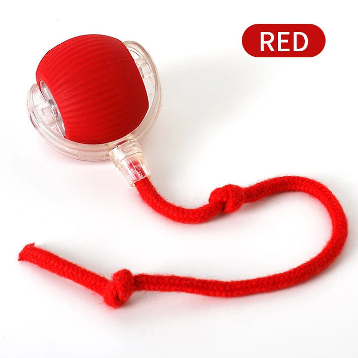 SpinPaw™ Smart Ball Pets Supplies Shop