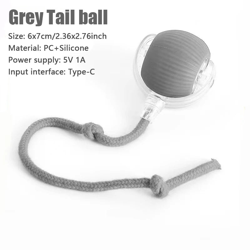 TailChase™ Smart Ball Pets Supplies Shop