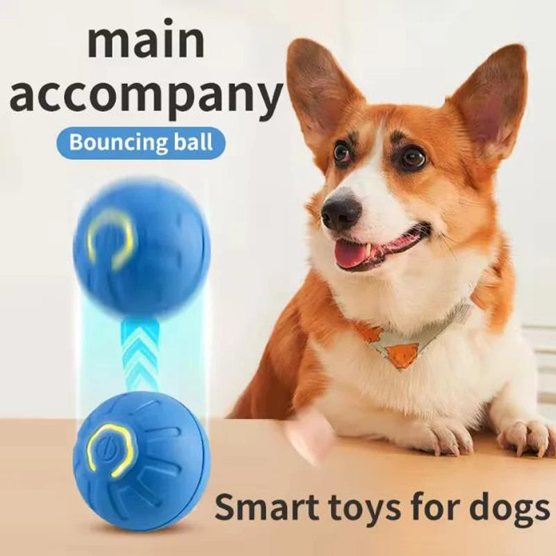 PlayPaw™ Smart Ball sifo-shop