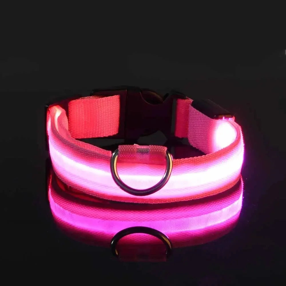 GlowPaw™ LED Leash & Collar sifo-shop