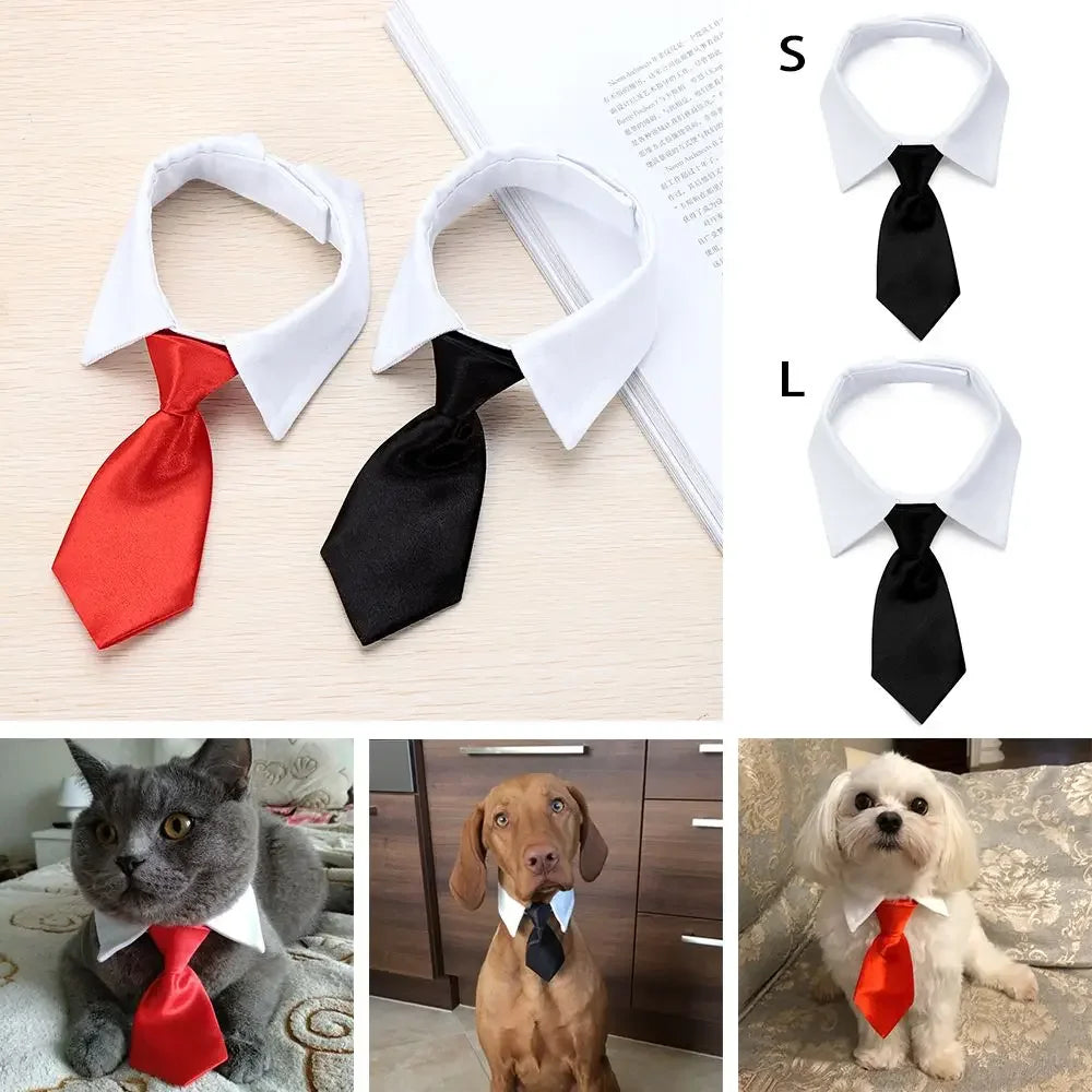 DapperPaw™ Necktie sifo-shop