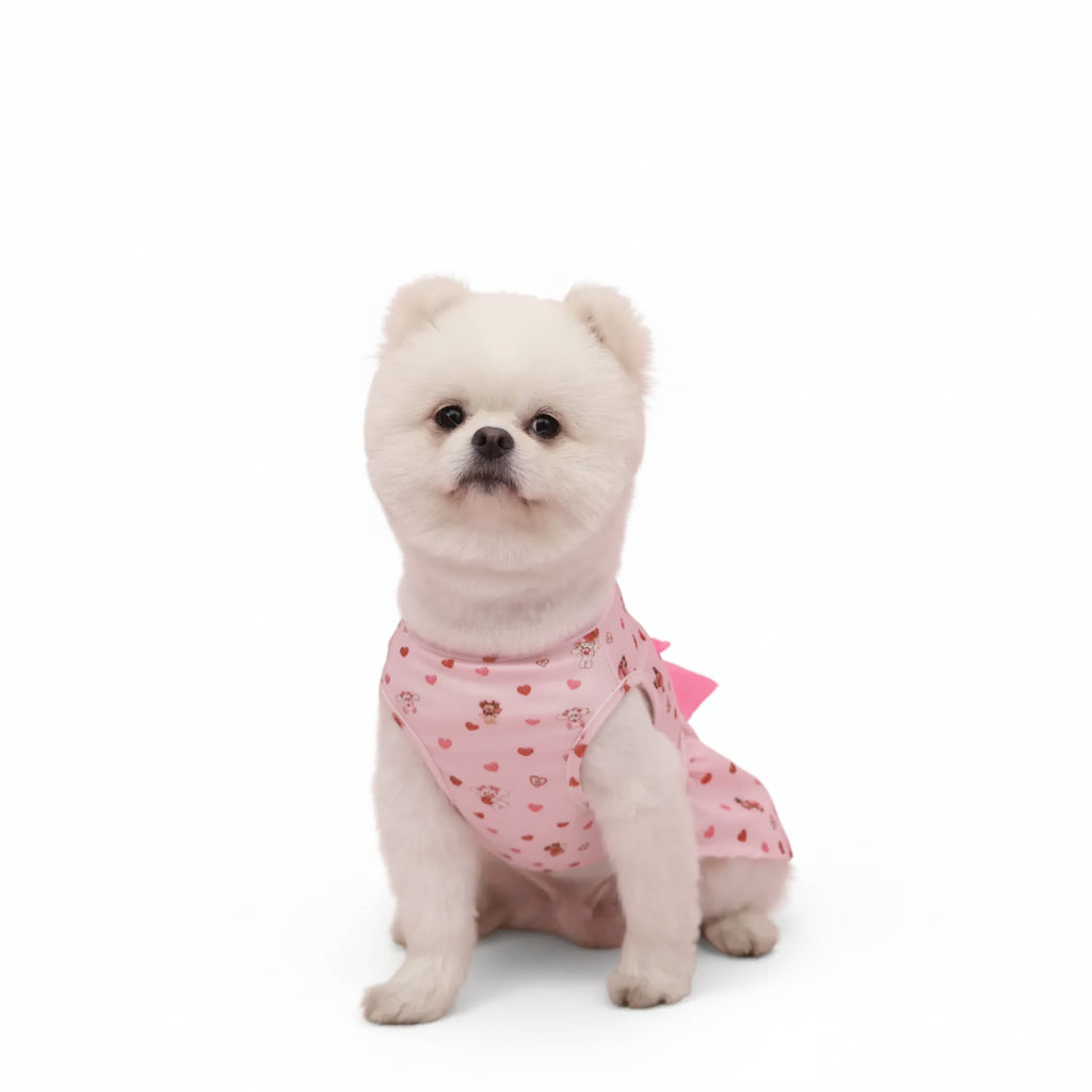 LovePaw™ Valentine Dog Dress Pets Supplies Shop