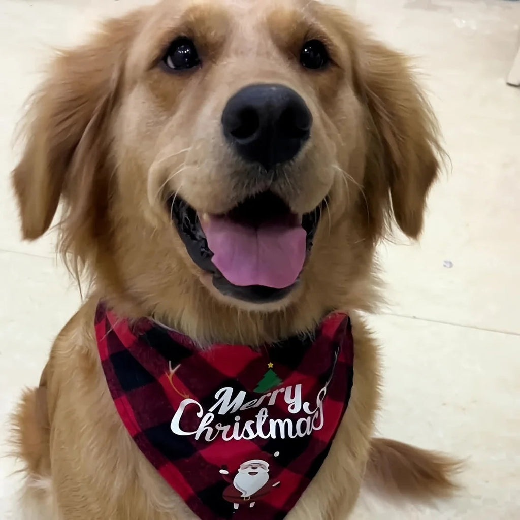 MerryPaw™ Holiday Bandana sifo-shop