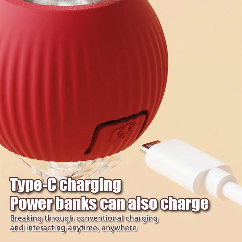 TailChase™ Smart Ball Pets Supplies Shop