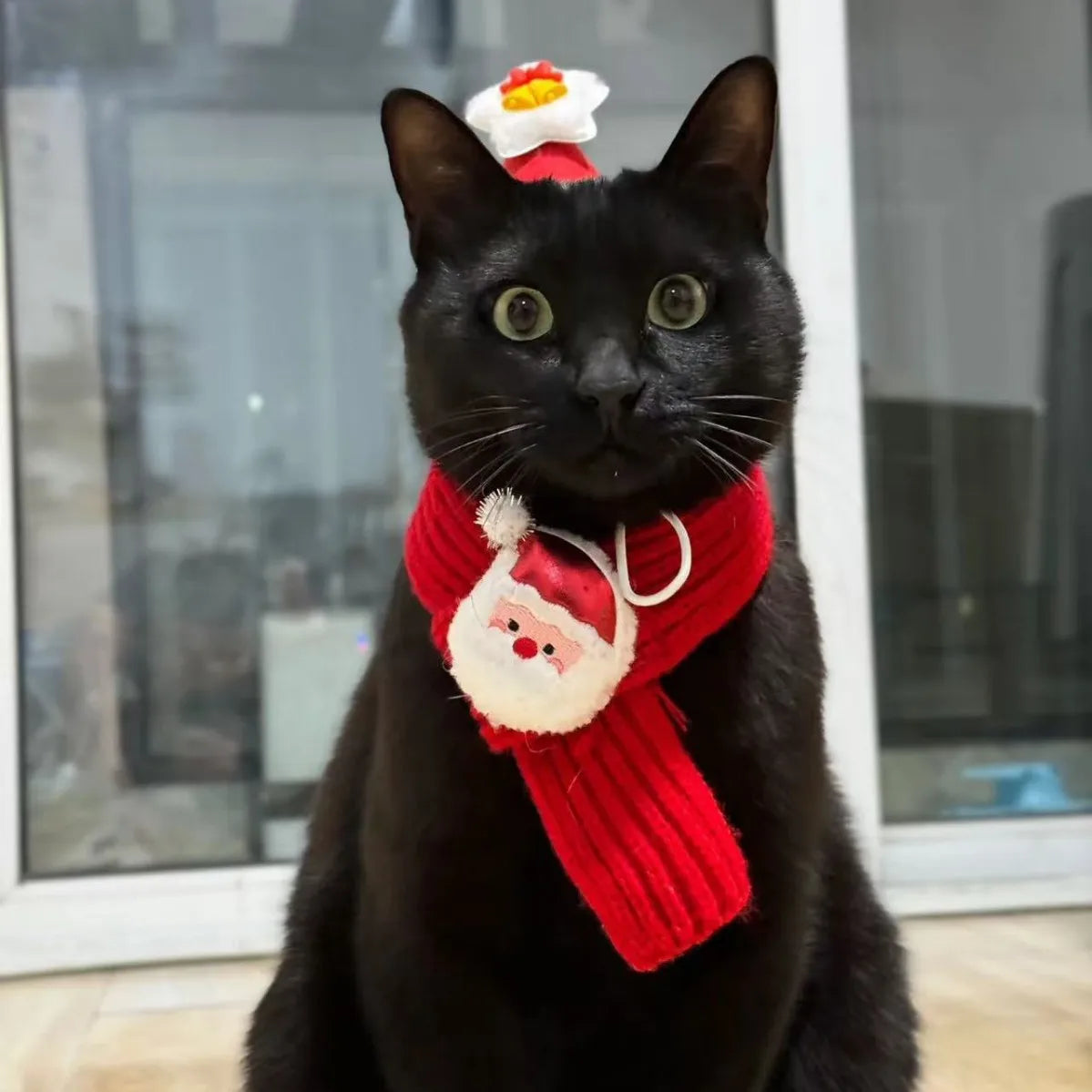 SantaPaws™ Holiday Set sifo-shop