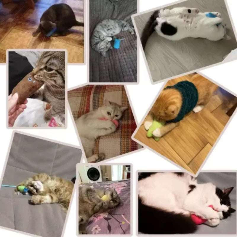 MintPaw™ Chew Toy Pets Supplies Shop